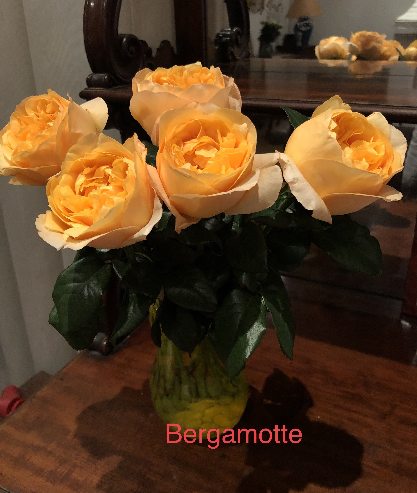 ROSE BERGAMOTTE 40